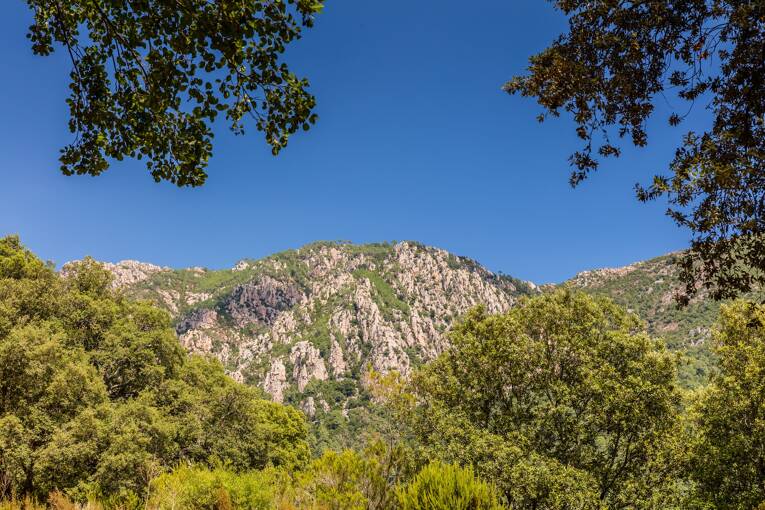 Camping Acqua e Sole **** photo 6 Corse Tohapi